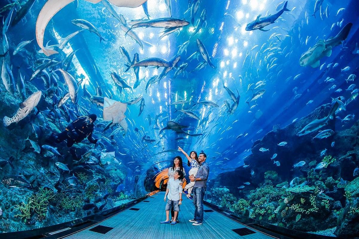 2023迪拜水族馆和水下动物园游玩攻略,从外部也可以观赏【去哪儿攻略】
